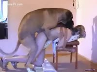 Big mutt bonks a teenage playgirl